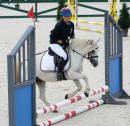 Sport Equestri Ph Luca Pagliaricci LPA00036 copia 