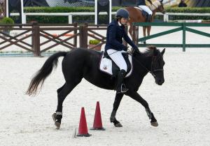Sport Equestri Ph Luca Pagliaricci LPA09859 copia 