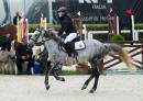 Sport Equestri Ph Luca Pagliaricci LPA09927 copia 