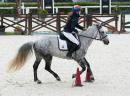Sport Equestri Ph Luca Pagliaricci LPA09966 copia 