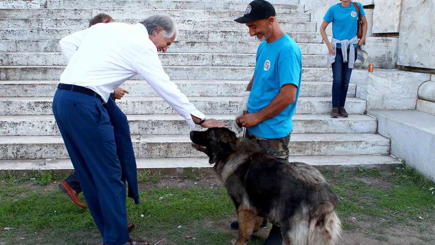 Malagò Dog Festival