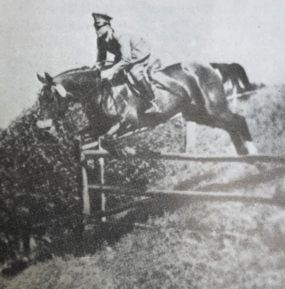 conforti grande 1