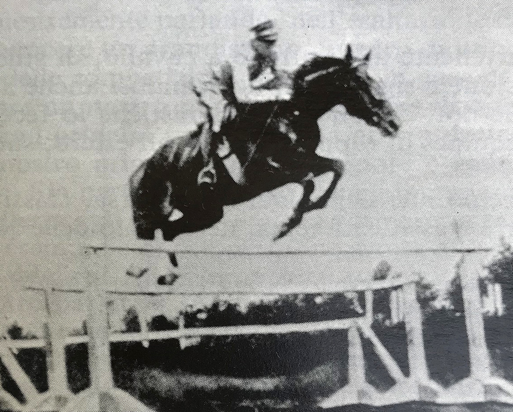 spighi grande