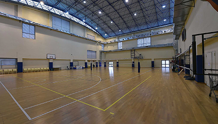 Basket/Volley