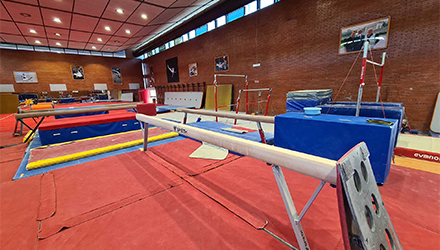 Ginnastica