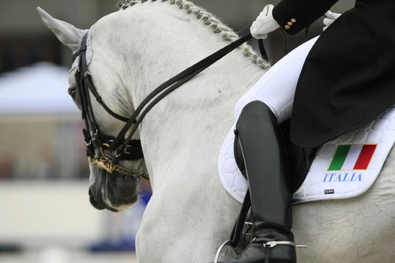 La FEI assegna all'Italia Team un posto Nazione nel dressage. Ai Giochi 295 azzurri