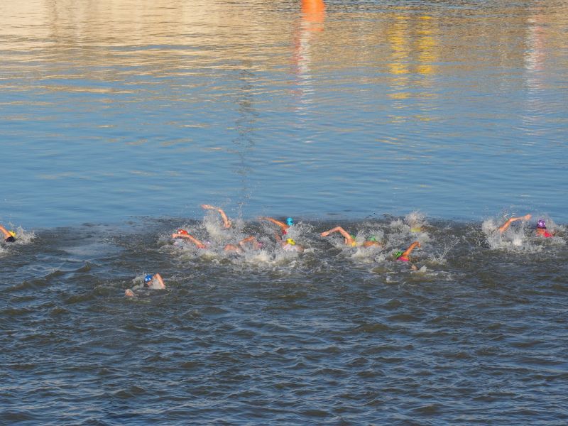 triathlon mixed relay dsc04666 luca pagliaricci ph triathlon mixed relay dsc04666 luca pagliaricci ph