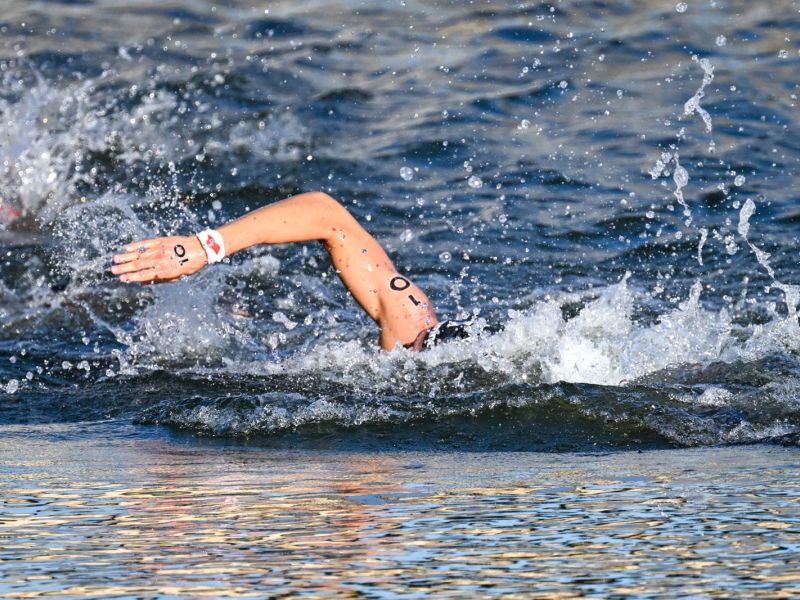 nuoto 10km paltr acer ph ditondo rdt nuoto 10km paltr acer ph ditondo rdt