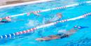 Nuoto Pinnato Trofeo CONI Ph Simone Ferraro SFA07803