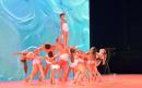 sfb_6339_copia_20190926_1030558938 sfb_6339_copia_20190926_1030558938