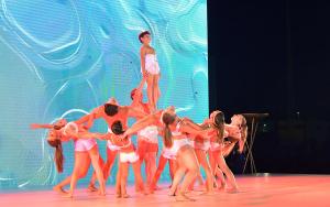 sfb_6339_copia_20190926_1030558938 sfb_6339_copia_20190926_1030558938
