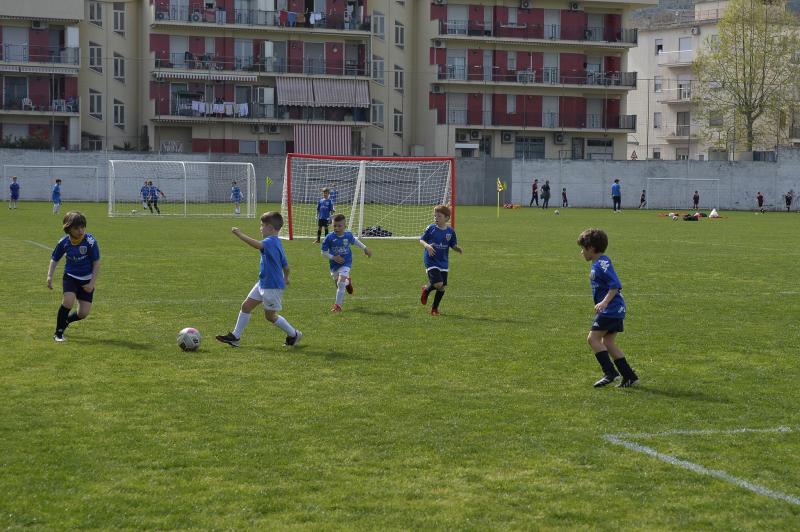 image5_20220528_1075466489 image5_20220528_1075466489