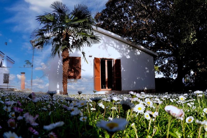 _oli5030_20220528_1351820198 _oli5030_20220528_1351820198