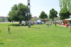 DSC_6037 DSC_6037