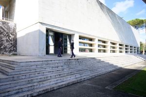 0015 collari oro 2025 collari oro 2025 03nov25 ph di tondo ph di tondo pagliaricci coni 