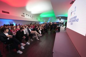 0066 collari oro lpg09656 ph di tondo pagliaricci coni  ph di tondo pagliaricci coni 