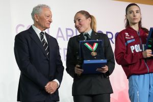 0263 collari oro lpg00639 ph di tondo pagliaricci coni  ph di tondo pagliaricci coni 