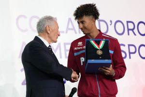 0310 collari oro lpg00961 ph di tondo pagliaricci coni  ph di tondo pagliaricci coni 