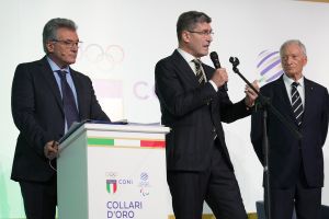 0479 collari oro lpg02013 ph di tondo pagliaricci coni 