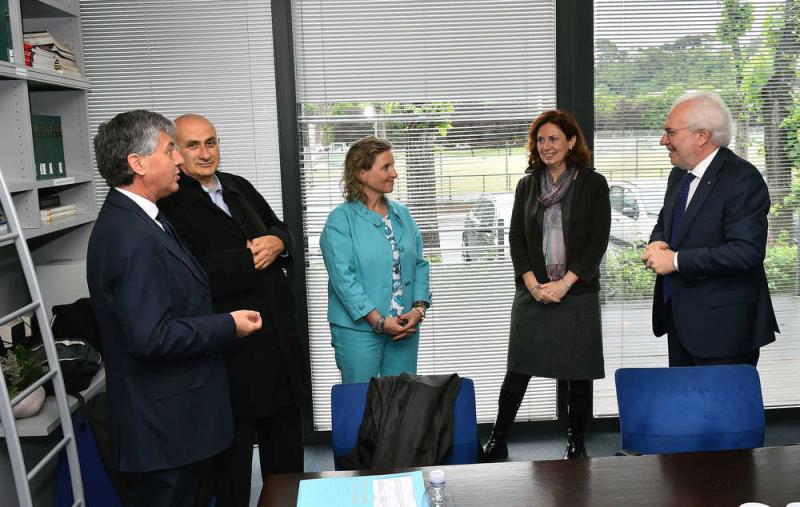 protocollo spallanzani mezzelani gmt009 protocollo spallanzani mezzelani gmt009