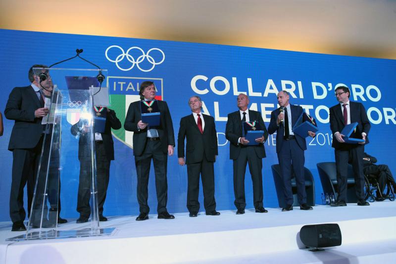 collari d oro mezzelani pagliaricci gmt308 collari d oro mezzelani pagliaricci gmt308