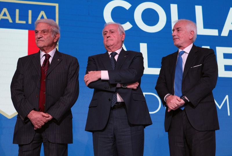 collari d oro mezzelani pagliaricci gmt313 collari d oro mezzelani pagliaricci gmt313