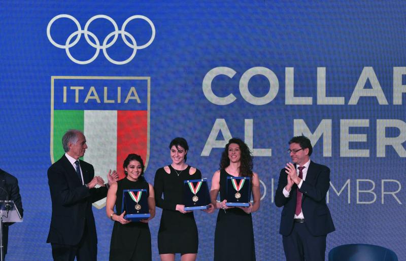 collari d oro mezzelani pagliaricci gmt75 collari d oro mezzelani pagliaricci gmt75