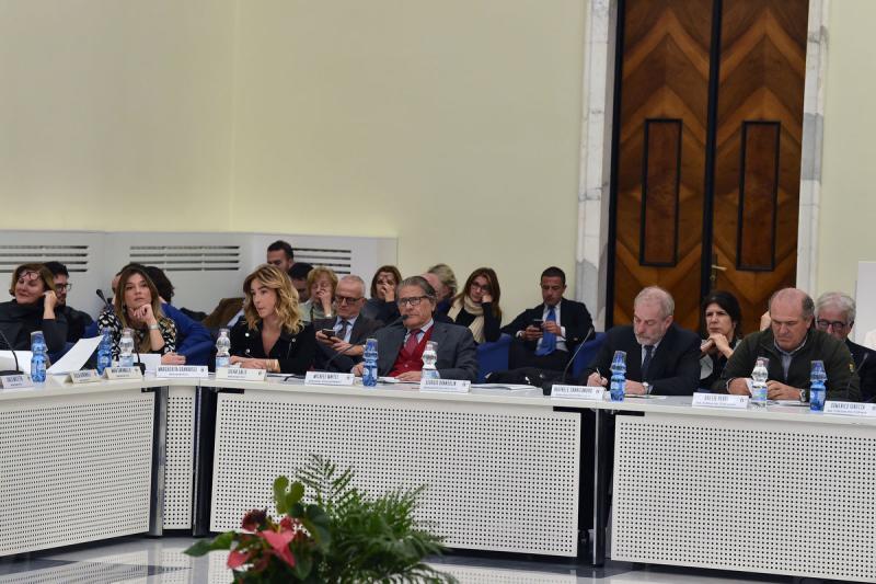 consiglio nazionale mezzelani gmt035 consiglio nazionale mezzelani gmt035