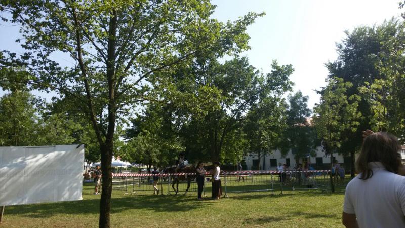 IMG-20150608-WA0118 IMG-20150608-WA0118