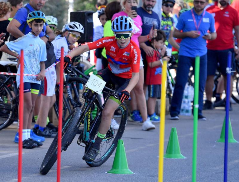 sfa_8011_copia_20190928_1631513259 sfa_8011_copia_20190928_1631513259