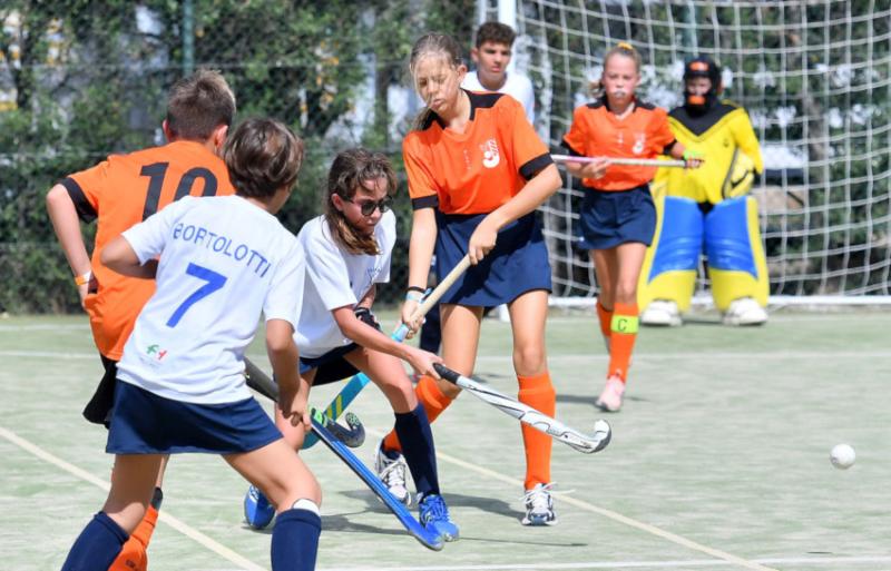 sfa_8191_copia_20190928_1292704117 sfa_8191_copia_20190928_1292704117