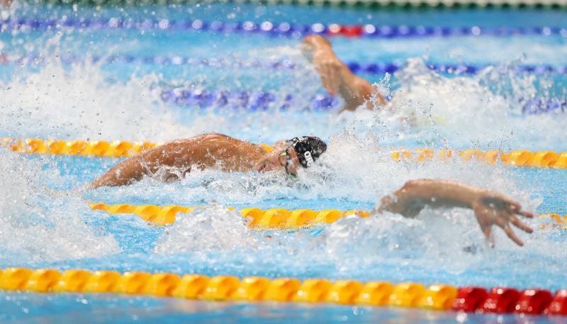 Steffetta 4X100 SL Foto Bisi GMT BISI3163 Steffetta 4X100 SL Foto Bisi GMT BISI3163