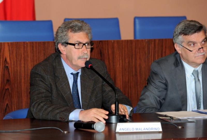 malandrino malandrino