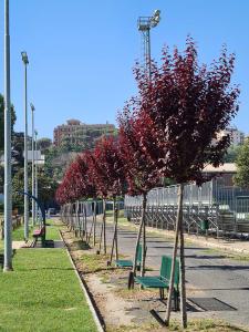 viale_prunus_20220711_1637815061 viale_prunus_20220711_1637815061