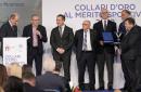 Collari 2022 ph Simone Ferraro 167 SFA07554 copia Collari 2022 ph Simone Ferraro 167 SFA07554 copia