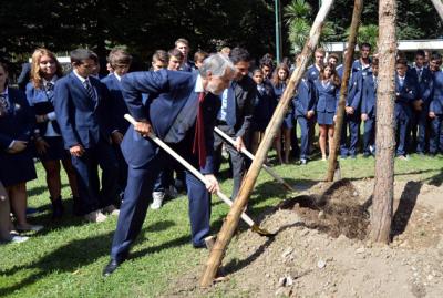 L’Albero degli Atleti