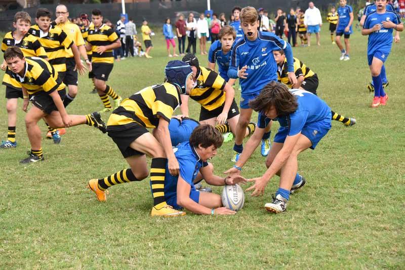 r75_3169_20180906_1424673971 r75_3169_20180906_1424673971