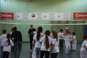 A31V2776 A31V2776