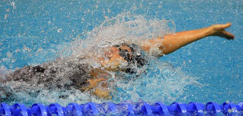 Nuoto 15 Nuoto 15