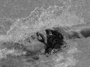 Nuoto 58 Nuoto 58