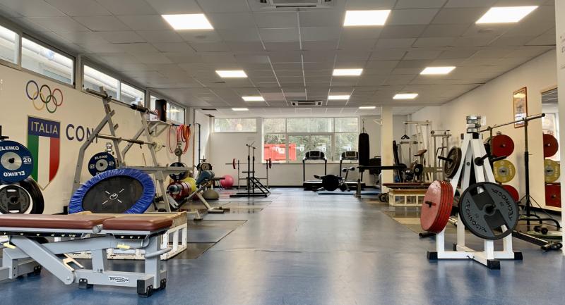 Muscolare1.2 Muscolare1.2