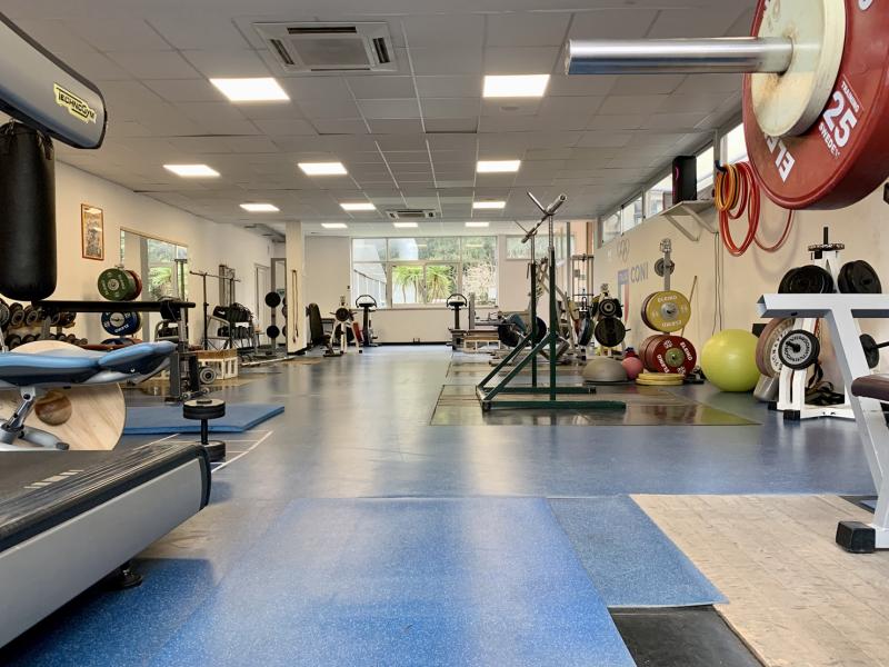 Muscolare1.3 Muscolare1.3