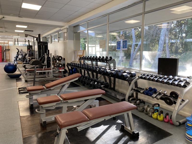 muscolare 2.0JPG muscolare 2.0JPG