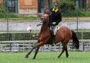 071 Presentazione Piazza di Siena Pagliaricci GMT