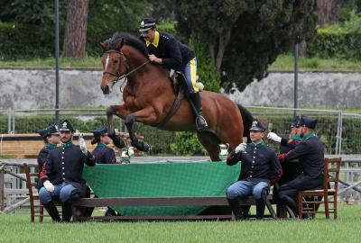 Presentato l'86° CSIO di Piazza di Siena