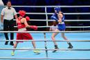 DSC_8596 DSC_8596