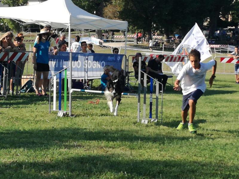 42311000_2152283915014568_2058563484076998656_o 42311000_2152283915014568_2058563484076998656_o