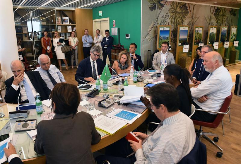 gintaexpomezzelanigmt001 gintaexpomezzelanigmt001