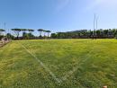 campo_5_3_20220711_1939213665