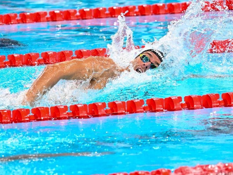 argento nuoto 1500 paltrinieri ph ditondo rdt argento nuoto 1500 paltrinieri ph ditondo rdt